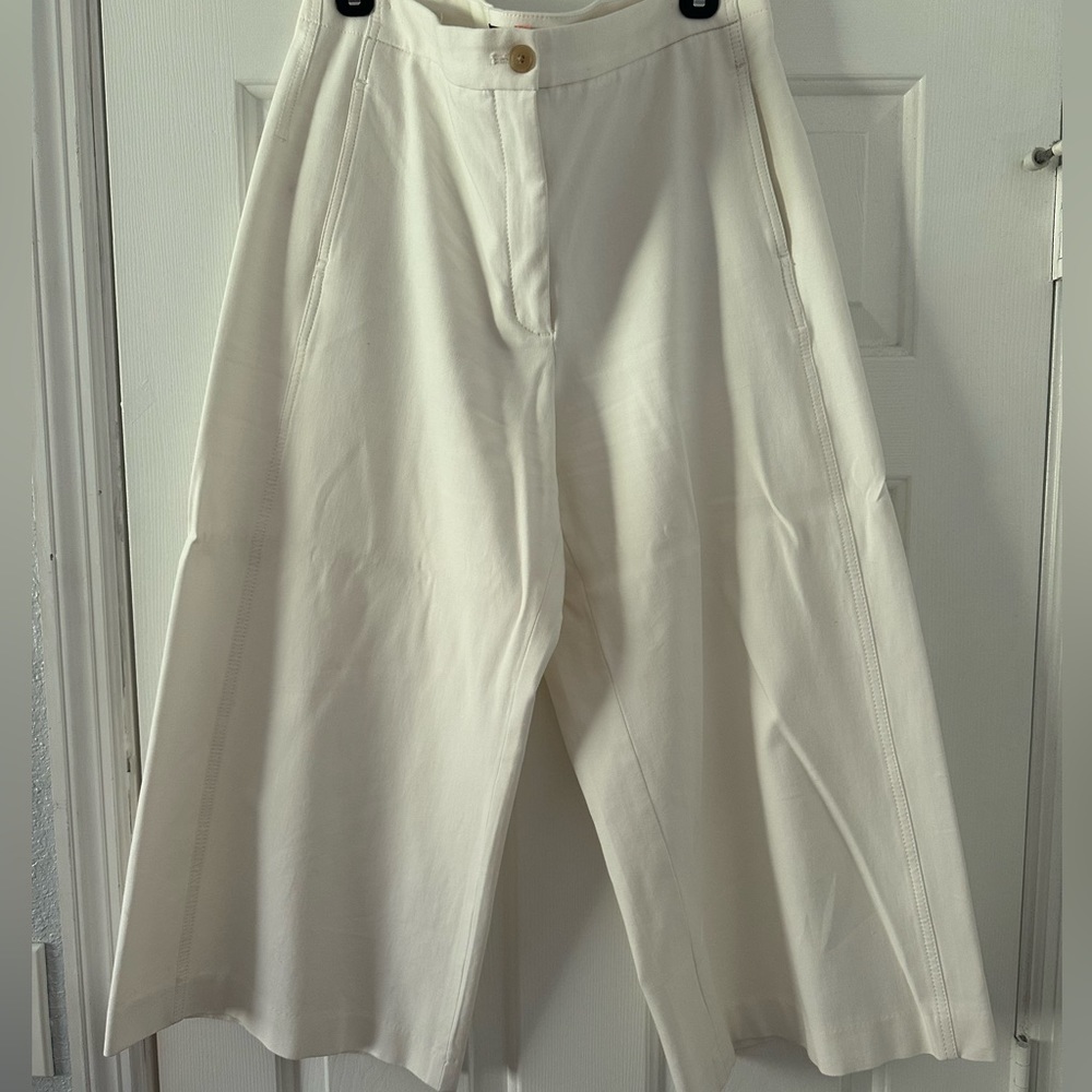 Ann Taylor Capri Wide Leg Pants